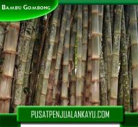 Bambu Gombong dan Petung